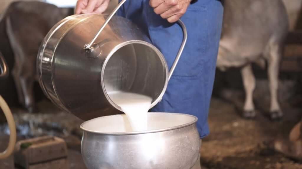 Frische Sahne zur Schokoladenherstellung
